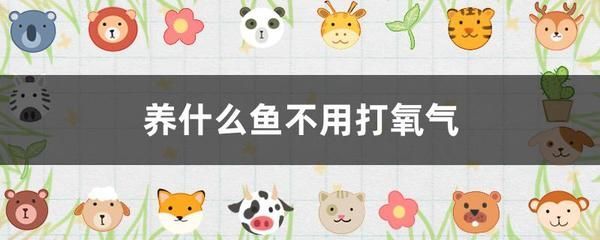 雷龍魚繁殖期間溫度控制：雷龍魚繁殖期水溫控制