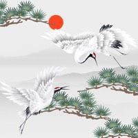 龍龜放魚缸里不吉利嗎