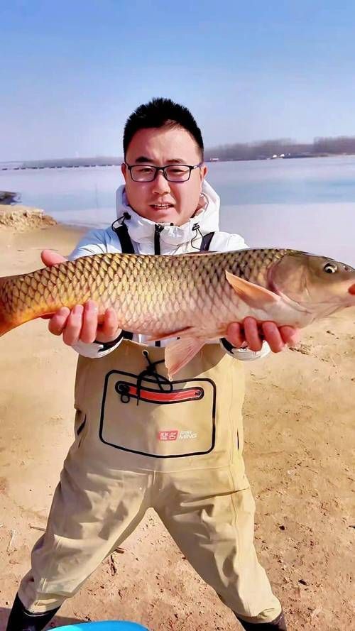 鯉魚(yú)圖片真實(shí)照片