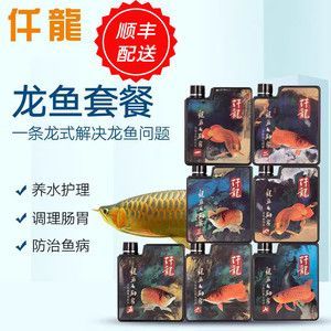 龍魚 論壇：關于龍魚爛尾病的問題