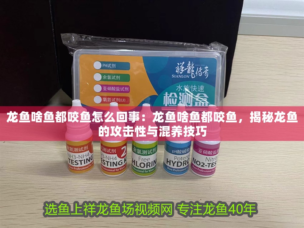 龍魚啥魚都咬魚怎么回事：龍魚啥魚都咬魚，揭秘龍魚的攻擊性與混養技巧