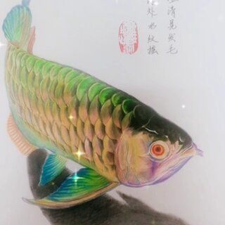 金龍魚ir（關于金龍魚投資者關系的一些關鍵信息）