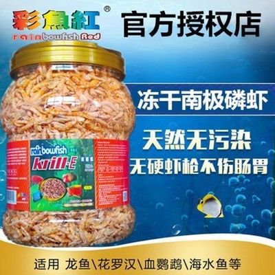 治療龍魚腸胃哪種藥最好（治療龍魚腸胃病的有效藥物）