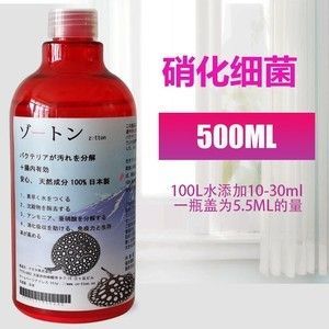 治療龍魚腸胃哪種藥最好（治療龍魚腸胃病的有效藥物）