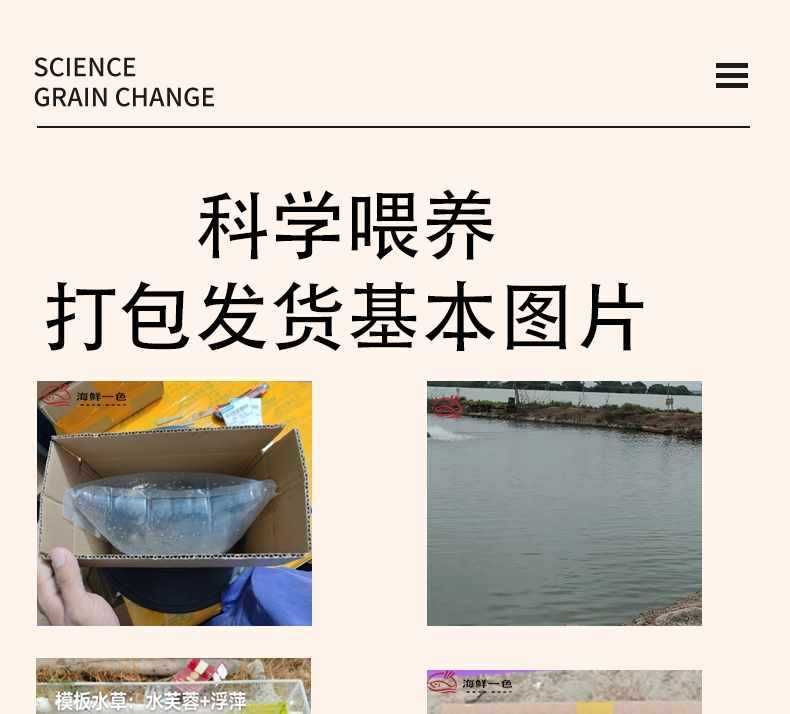 龍魚怎么打包發(fā)貨的：龍魚在發(fā)貨過程中的包裝與打包技巧