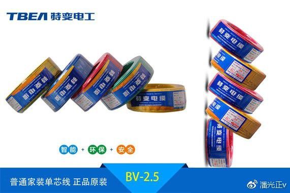 金龍魚電線