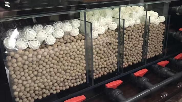 一般魚缸用幾年會漏水呢為什么（如何正確保養魚缸延長壽命）