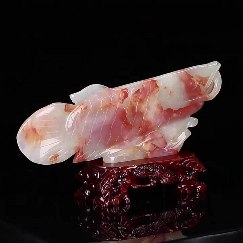 金龍魚在玄學上代表什么