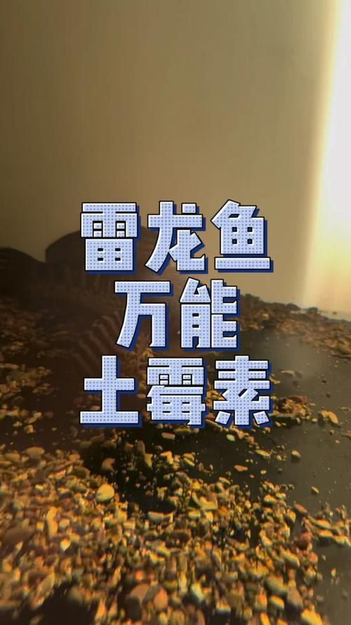 龍魚水霉圖片 龍魚水霉圖片 龍魚百科 第25張