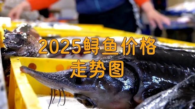 鱘龍魚多少錢一條