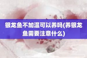 銀龍魚多少度會凍死（銀龍魚在水溫低于18℃至20℃時可能會面臨死亡的風險）