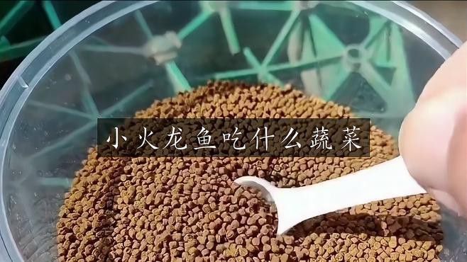 紅龍魚吃什么蔬菜比較好？