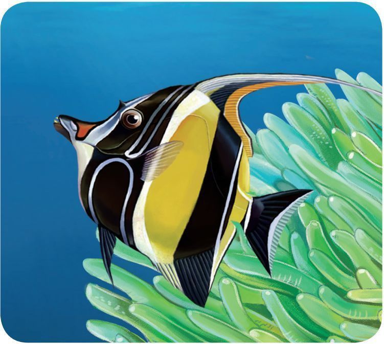鐮魚