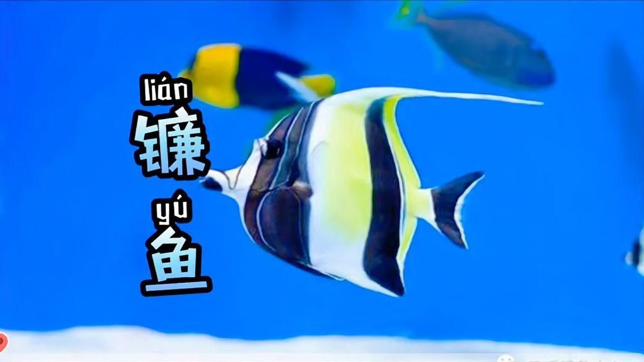 鐮魚
