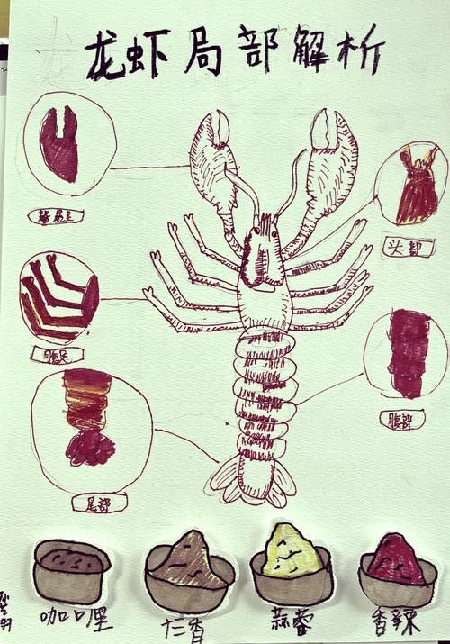 有沒有高清的龍蝦解剖圖？