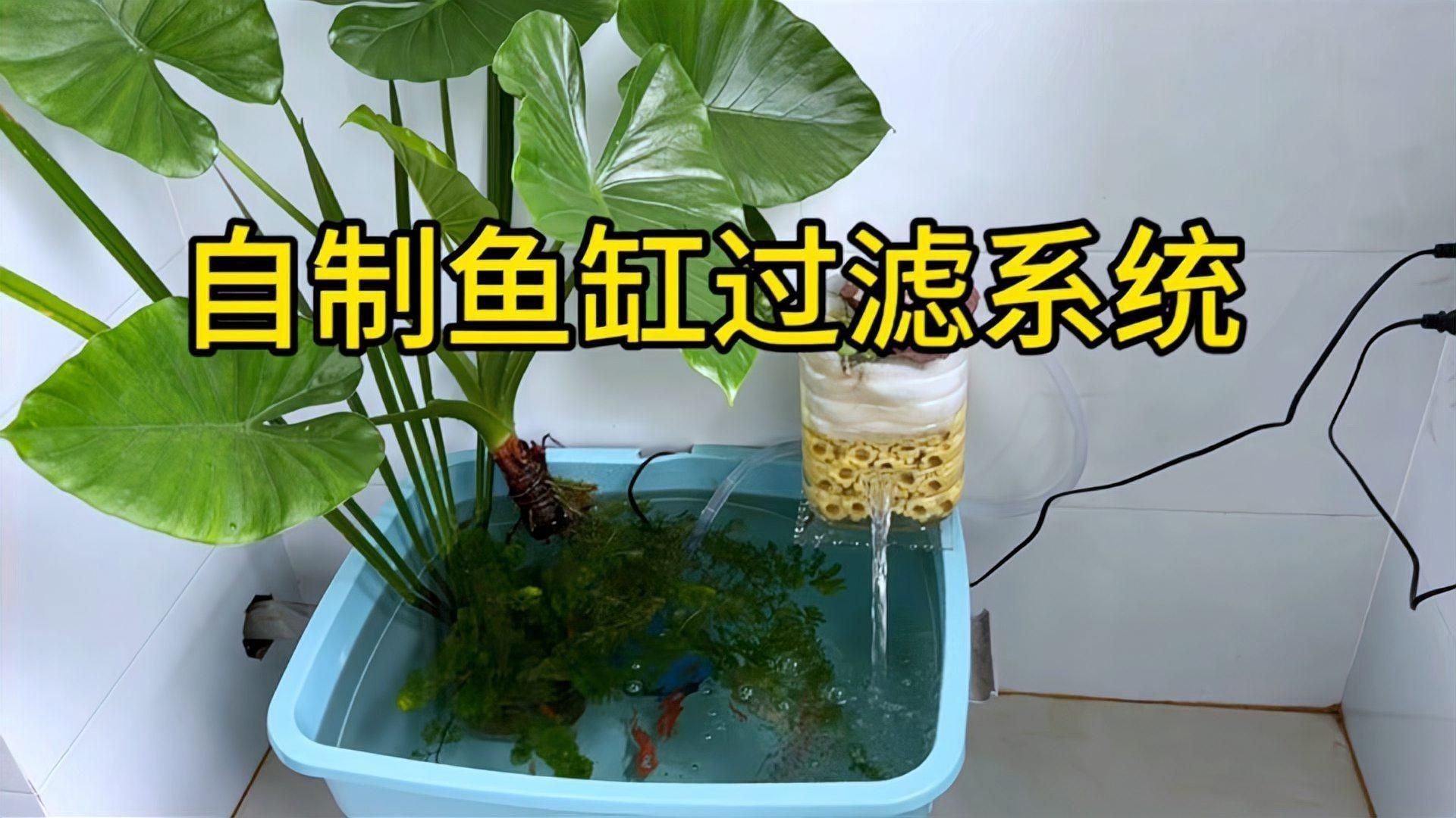 魚缸過濾系統如何配置？