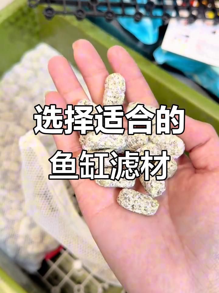 魚缸過濾系統如何配置？