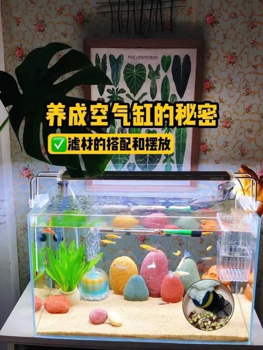 魚缸過濾系統如何配置？