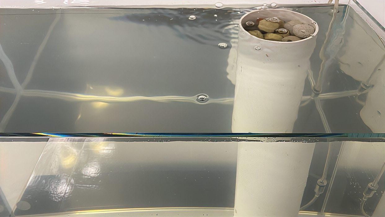 魚缸過濾系統如何配置？