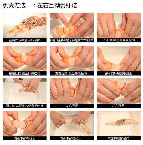 有沒有高清的龍蝦解剖圖？