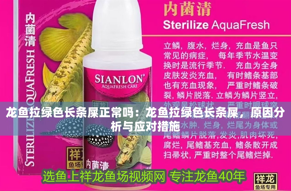 龍魚拉綠色長條屎正常嗎：龍魚拉綠色長條屎，原因分析與應對措施