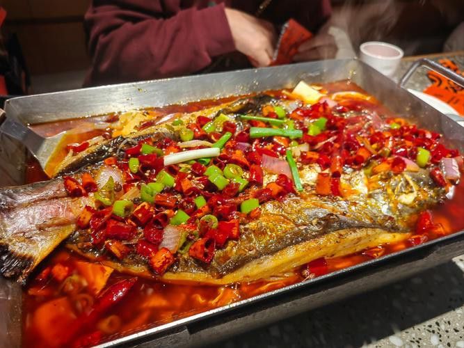 金龍魚和黑魚哪個好吃一點