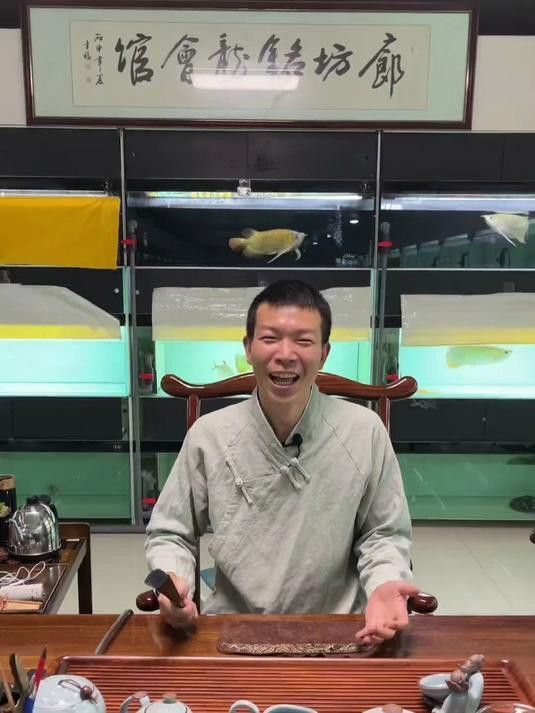 如何挑選健康的紅龍魚苗