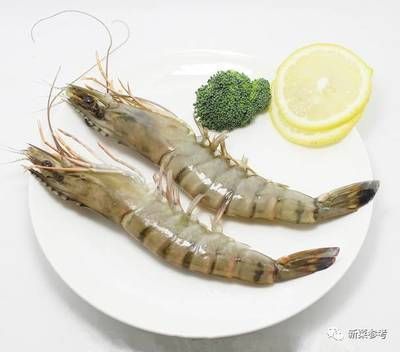 20厘米小龍魚吃什么：20厘米的小龍魚在飲食上應該如何進行選擇？