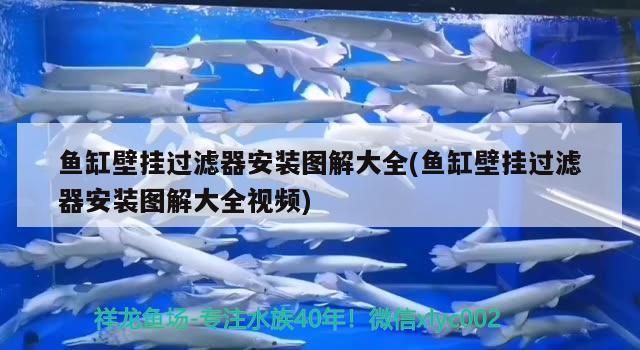 魚缸壁掛過濾器安裝圖解大全(魚缸壁掛過濾器安裝圖解大全視頻)