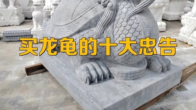 龍龜材質如何保養(yǎng)？