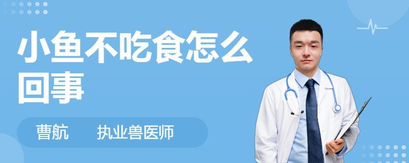 如何預防六角恐龍常見疾病？