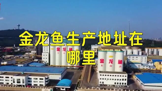 金龍魚生產(chǎn)廠家有哪些產(chǎn)品？