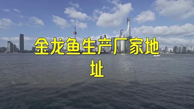 金龍魚生產(chǎn)廠家有哪些產(chǎn)品？