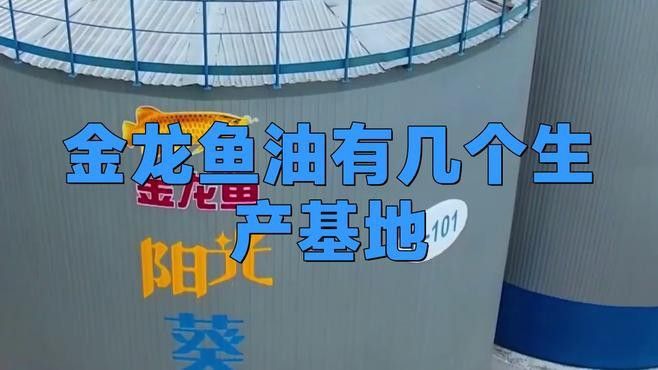 金龍魚生產(chǎn)廠家有哪些產(chǎn)品？