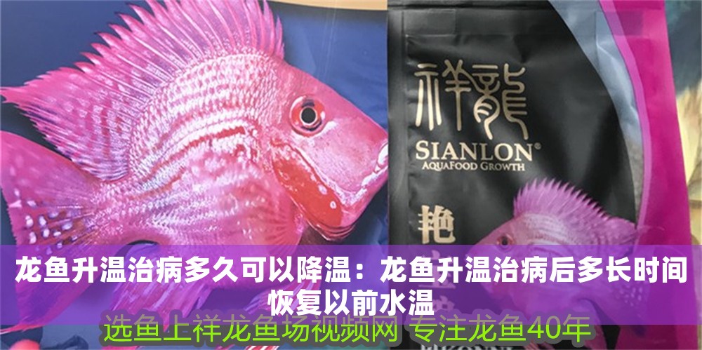 龍魚升溫治病多久可以降溫：龍魚升溫治病后多長時間恢復以前水溫