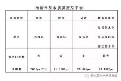 龍魚升溫治病多久可以降溫：龍魚升溫治病后多長時間恢復以前水溫