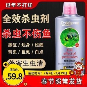 龍魚身上有白點怎么治療（龍魚身上出現(xiàn)白點可能是由于多種原因引起的，治療方法不同）