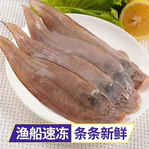 龍源魚照片