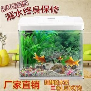 龍魚魚缸養幾條魚最好呢圖片欣賞：關于龍魚養殖數量的建議