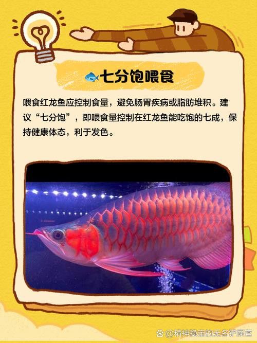 紅龍魚兜嘴和不兜嘴圖解