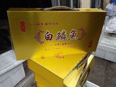 臨沂龍魚(yú)批發(fā)市場(chǎng)地址電話(huà)是多少