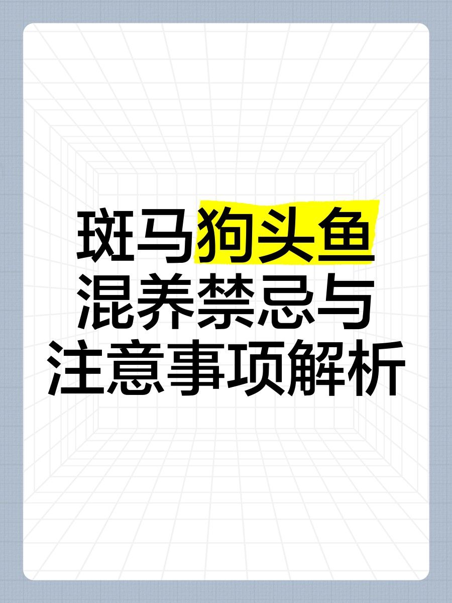 狗頭魚可以和龍魚混養嗎圖片大全高清