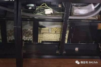 龍魚缸過濾材料用什么好用：龍魚缸過濾材料推薦