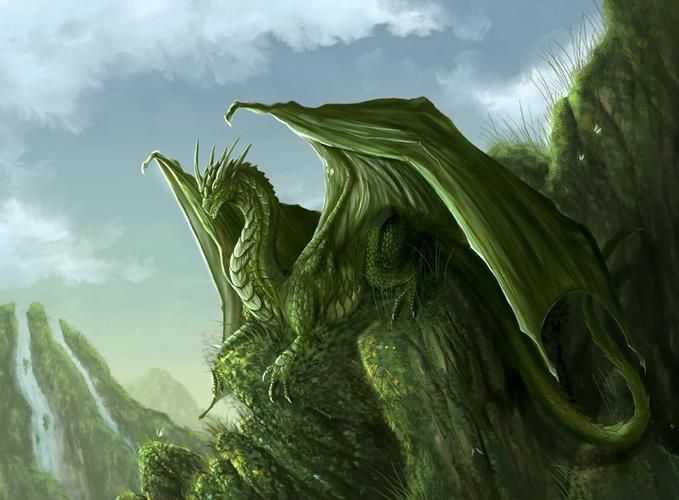 綠龍圖片