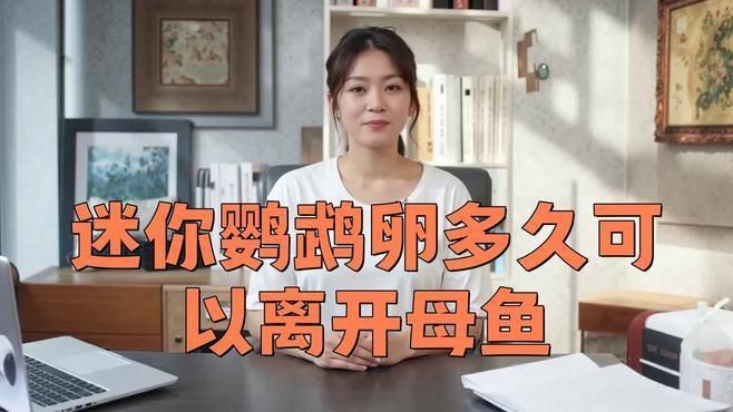 迷你鸚鵡多久分開小魚