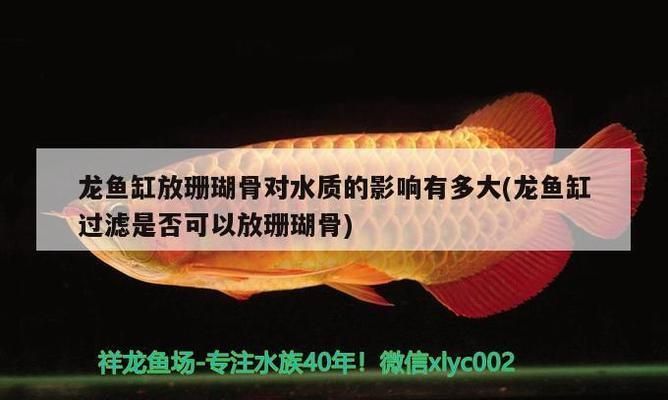 龍魚(yú)缸放珊瑚骨對(duì)水質(zhì)的影響：珊瑚骨對(duì)水質(zhì)的影響