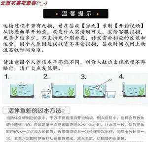龍魚(yú)翻腮怎么治療最好：快遞運(yùn)輸龍魚(yú)可以放多久