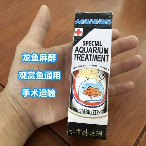 龍魚麻醉運輸方法有哪些圖片
