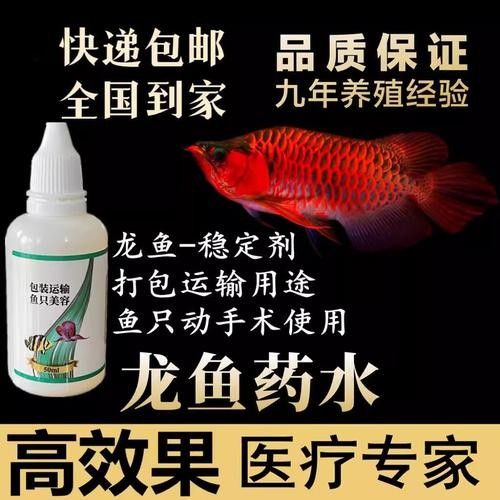 龍魚麻醉運輸方法有哪些圖片