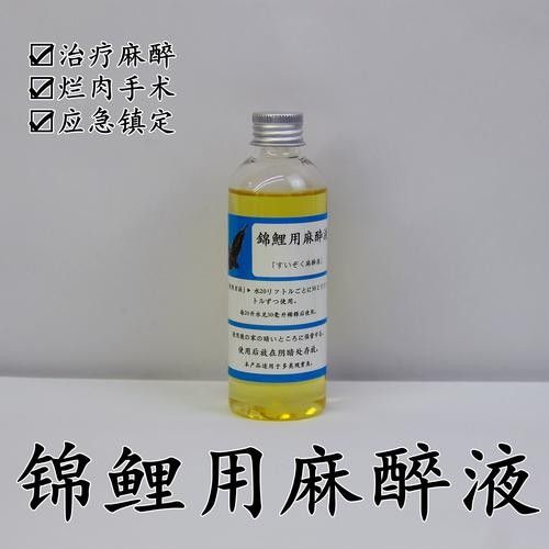 龍魚麻醉運輸方法有哪些圖片